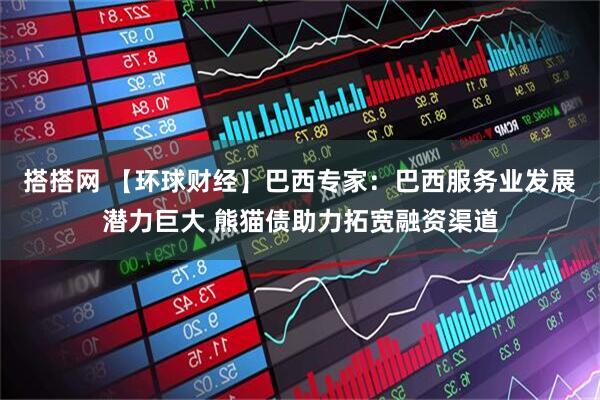 搭搭网 【环球财经】巴西专家：巴西服务业发展潜力巨大 熊猫债助力拓宽融资渠道